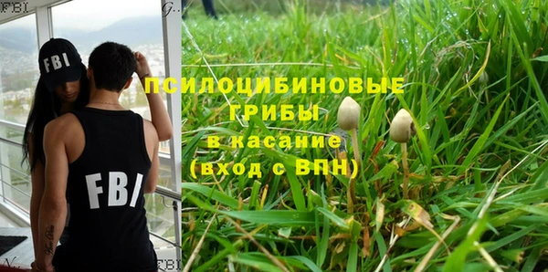 мет Аркадак